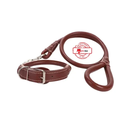 Dogs Leather Collar with Leash