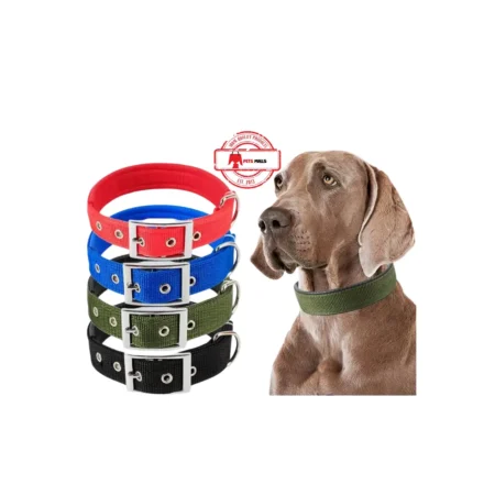 Nylon Puppy Collar