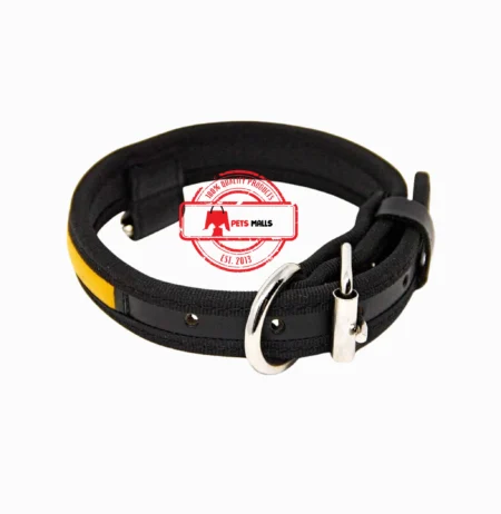 Leather Collar for Dogs/Puppies
