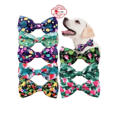 Bow Collar for Puppies