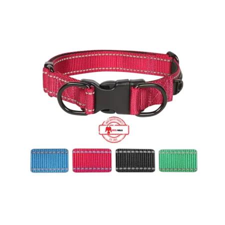 Dual Soft Padded Wide Nylon Dog Collar